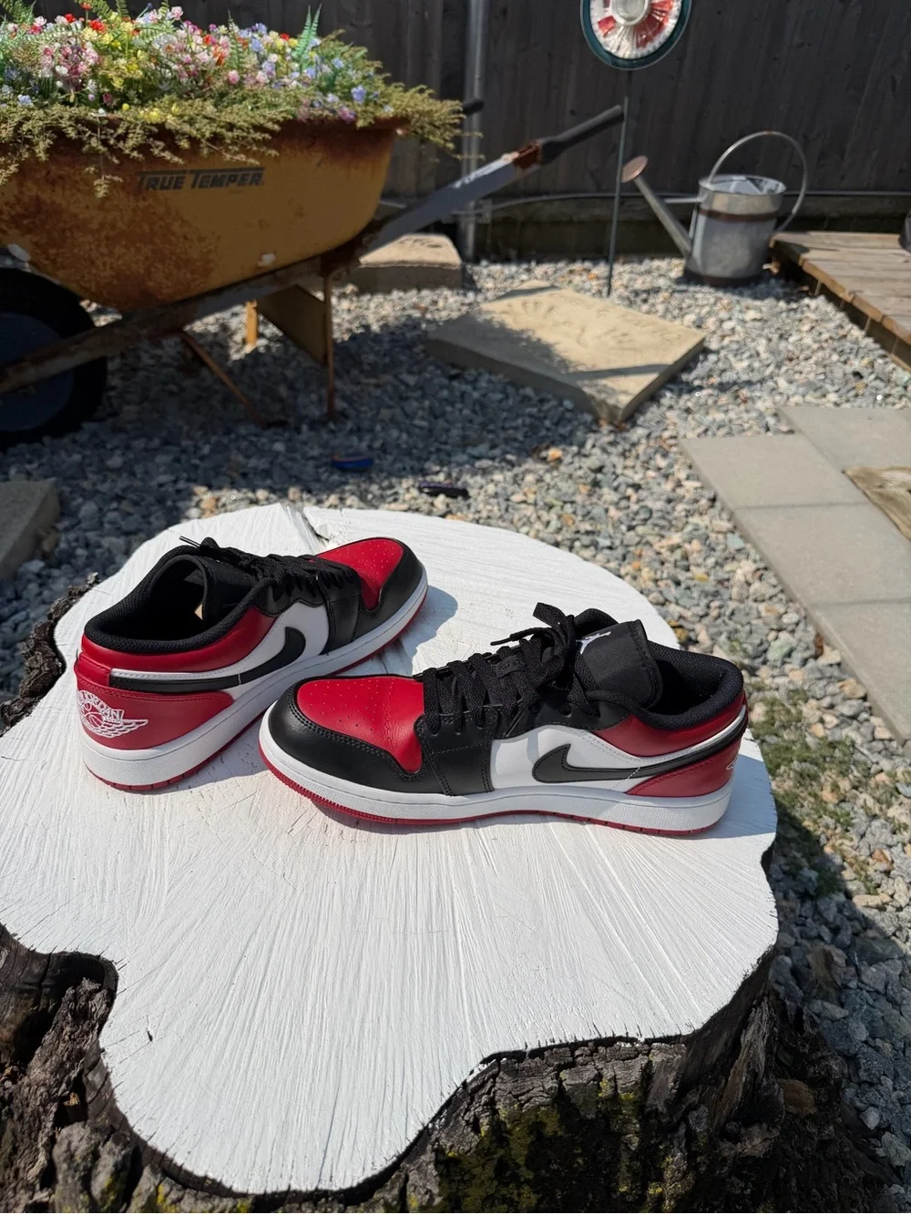 Air Jordan 1 low
